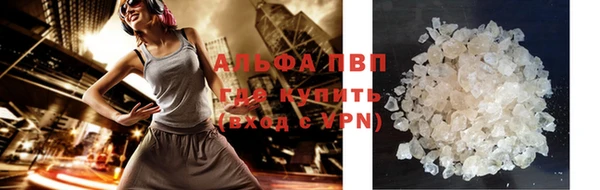 сатива Белоозёрский
