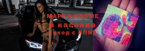 сатива Белоозёрский