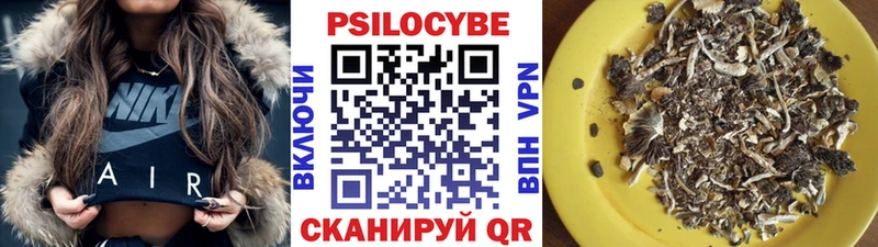 Галлюциногенные грибы Cubensis наркотики Козельск
